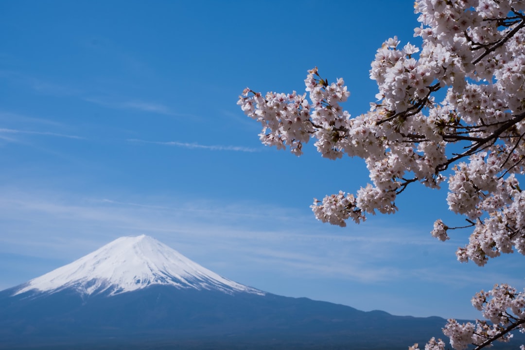 Fuji Dağı ve Japonya manzarası